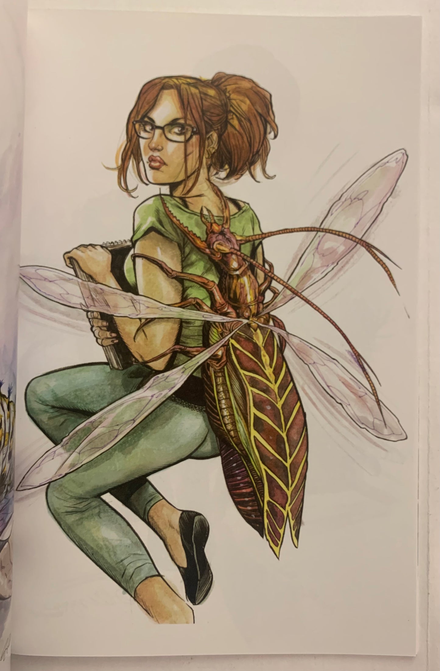 Insects Sketch Book by Ryan Kelly